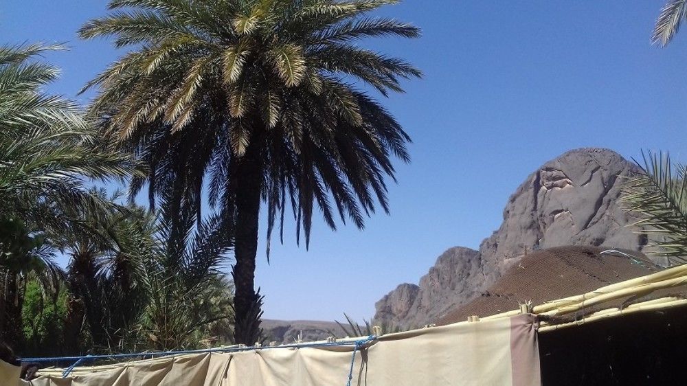 Auberge Restaurant Tissili " Oasis De Fint" Dış mekan fotoğraf